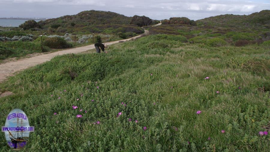 Cape Peron